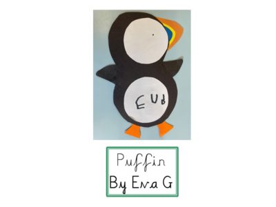 Puffins (10)