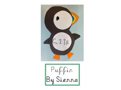 Puffins (18)