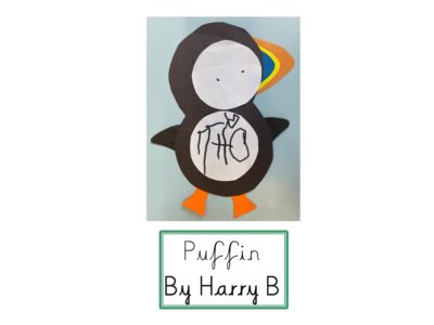 Puffins (2)