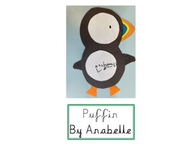 Puffins (4)