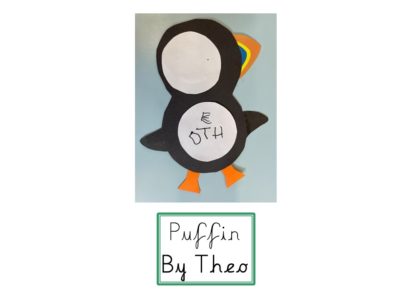 Puffins (7)