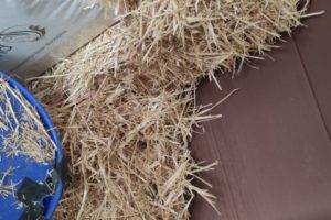 HENS_straw (Small)